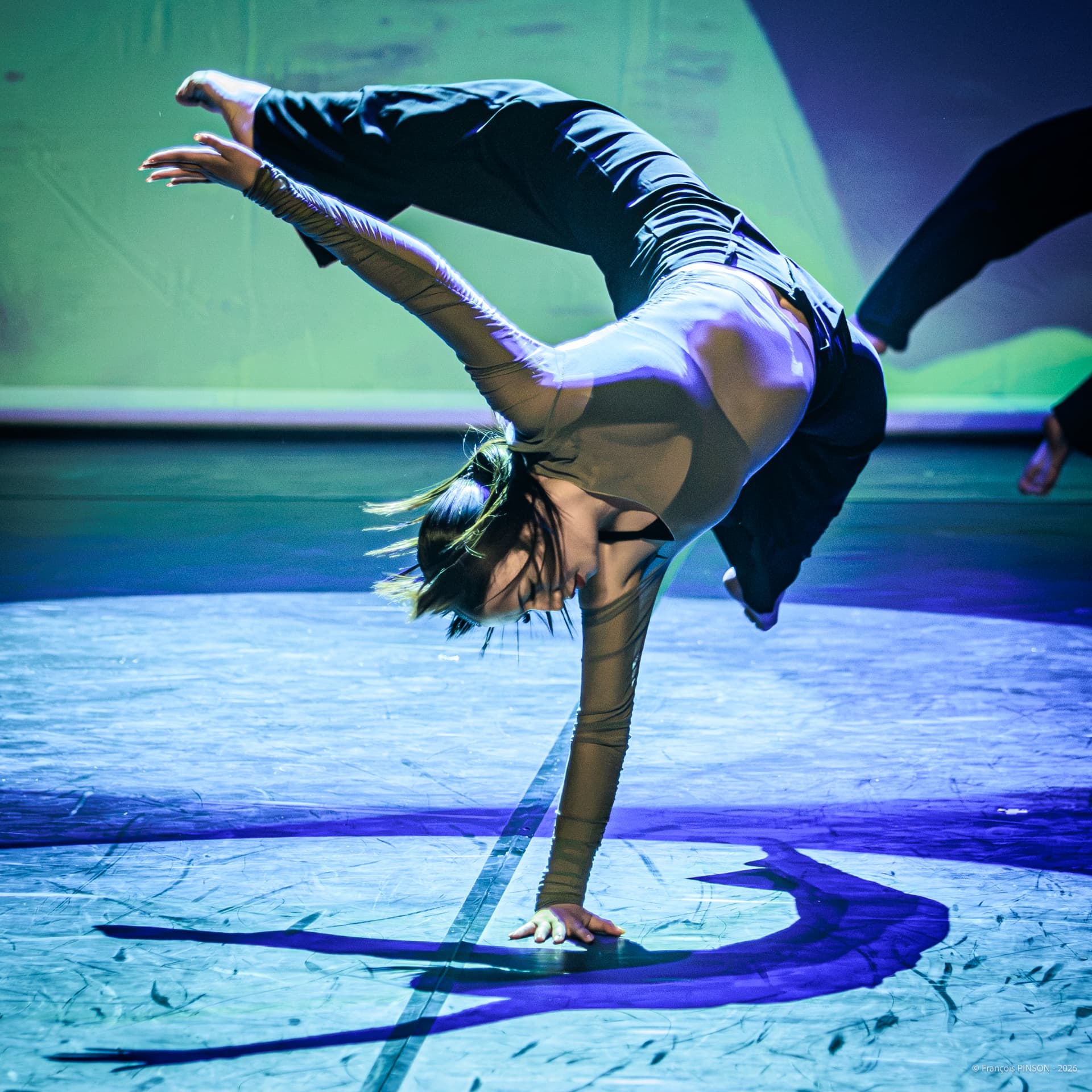 Danseurs Krisaor sur scène lors du spectacle 2026 — photo François Pinson