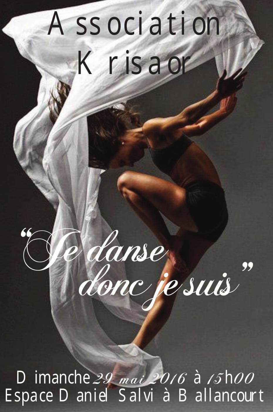 Affiche du spectacle Je danse donc je suis (2016)
